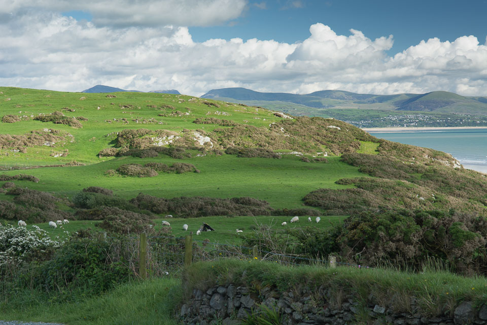 20140513Criccieth0073.jpg