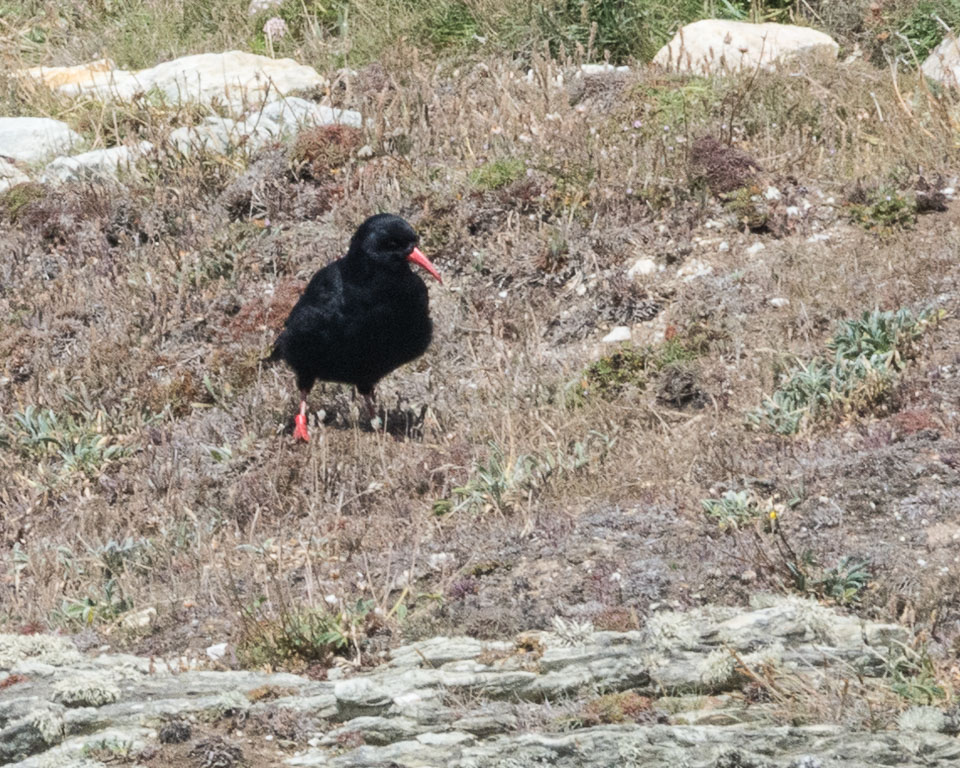 20150722SouthStack0005.jpg