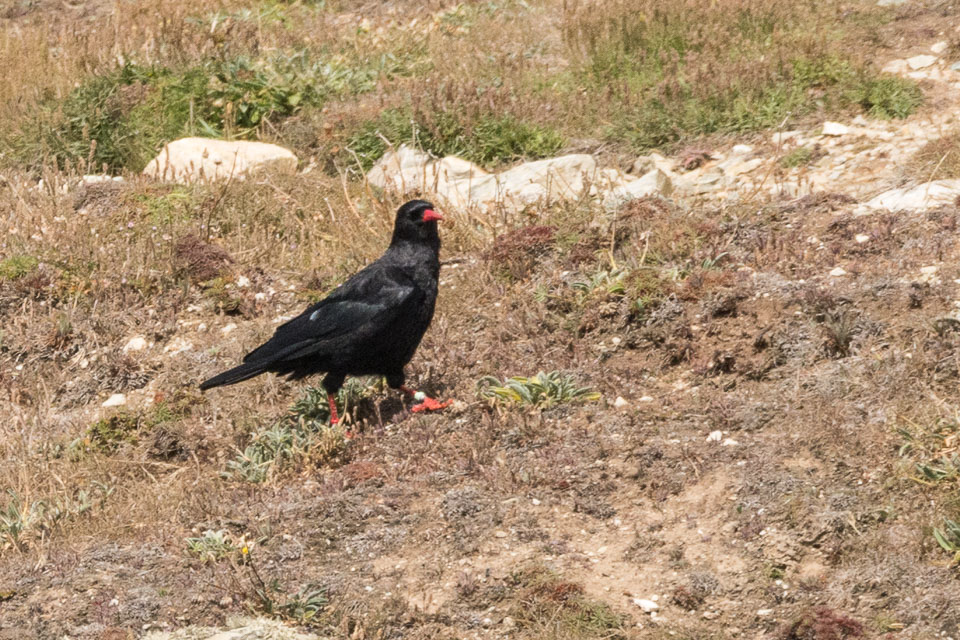 20150722SouthStack0006.jpg