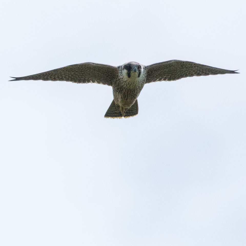 20150722SouthStack0008.jpg