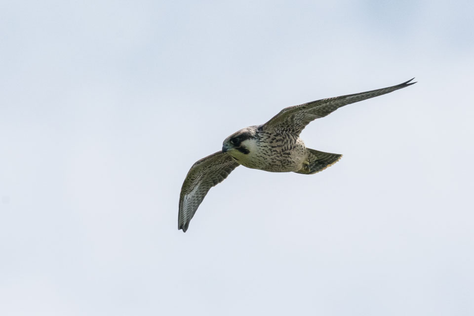 20150722SouthStack0010.jpg