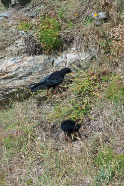 20150722SouthStack0004.jpg 20150722SouthStack0004.jpg