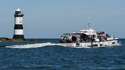 20170712WalesBirds0589.jpg 20170712WalesBirds0589.jpg