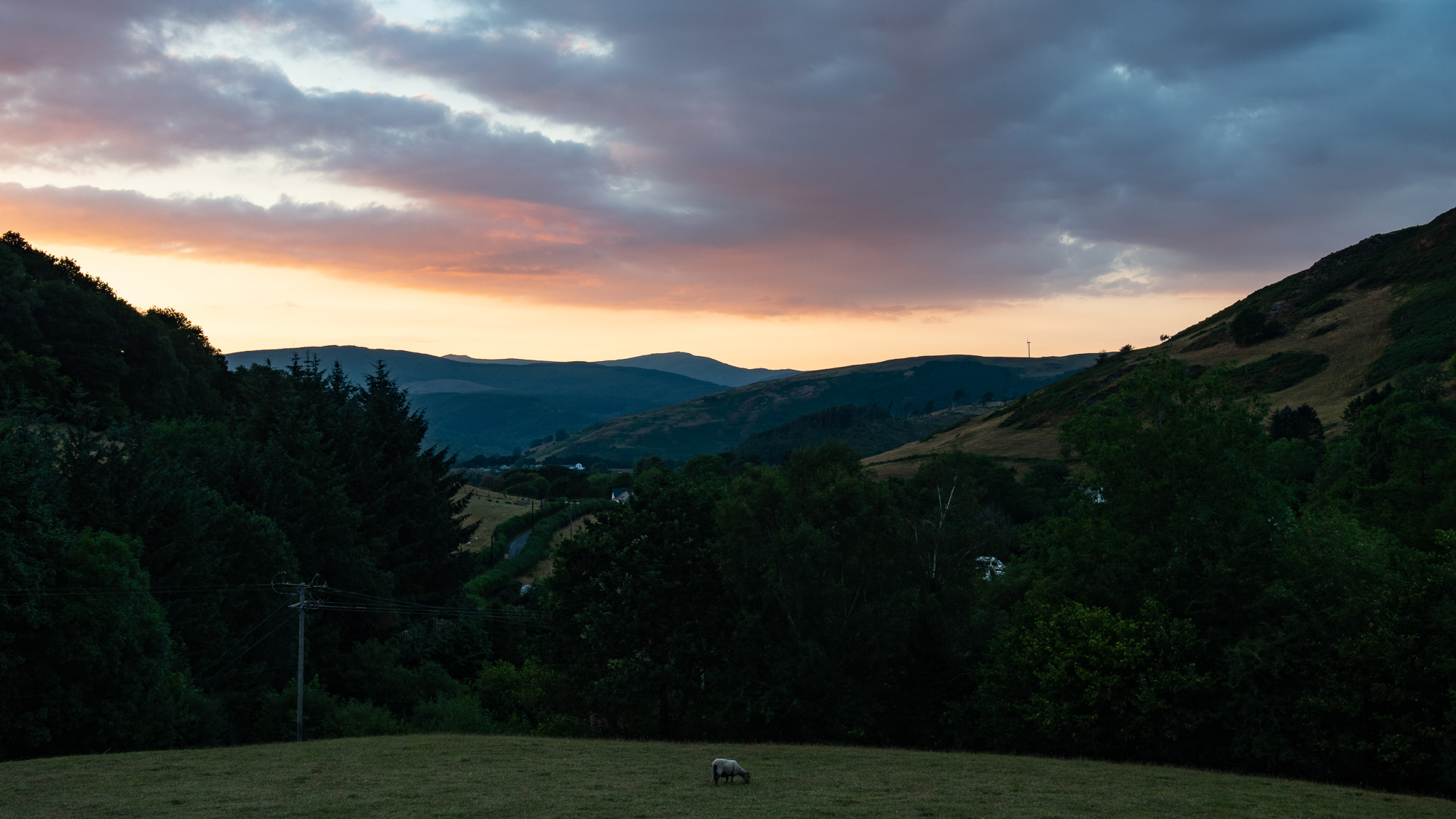 20180713Machynlleth0033.jpg