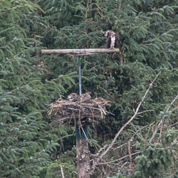 20180718Machynlleth0278.jpg 20180718Machynlleth0278.jpg