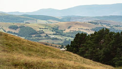 20180718Machynlleth0336.jpg 20180718Machynlleth0336.jpg