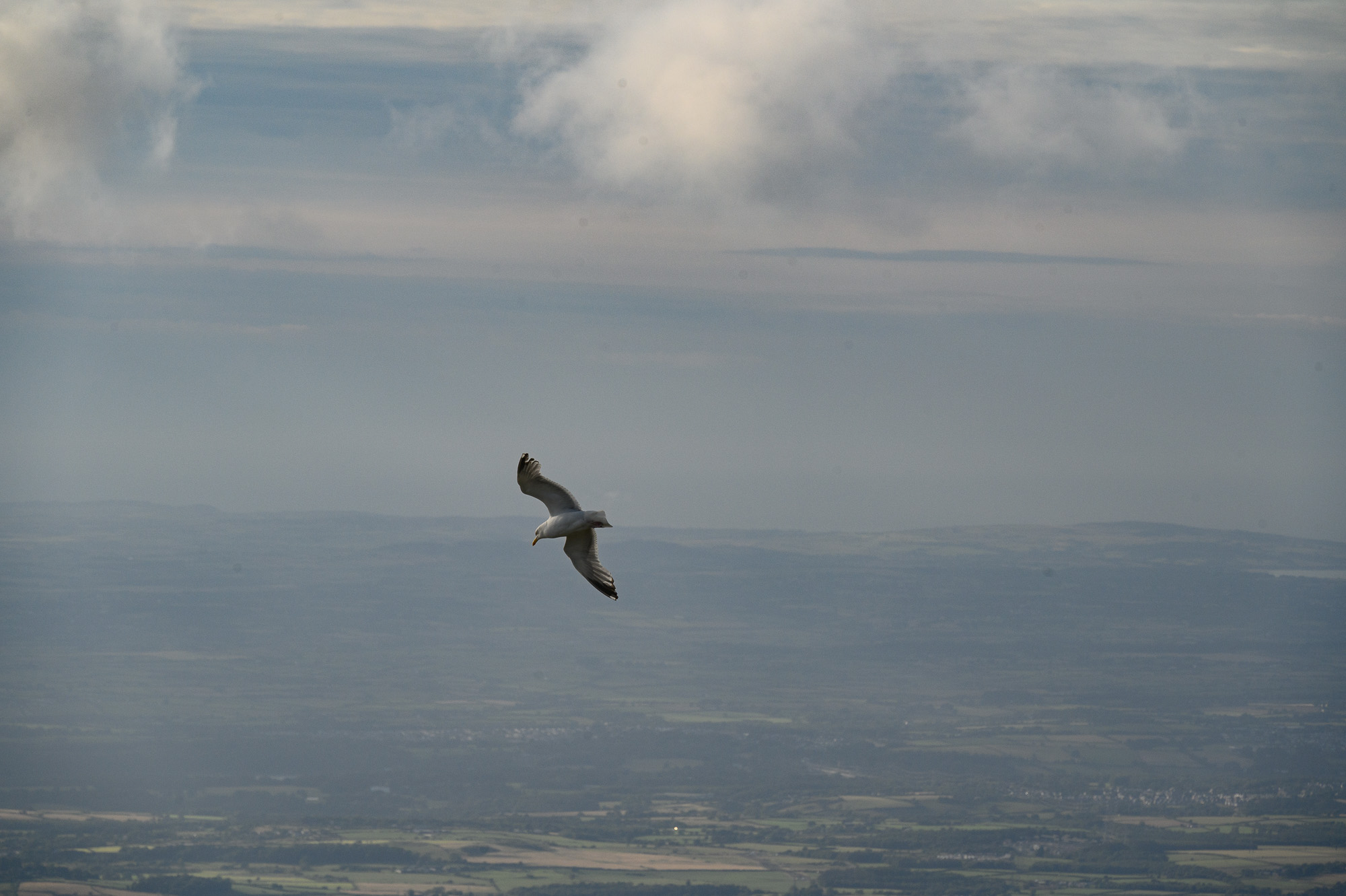 20230704Wales0248.jpg